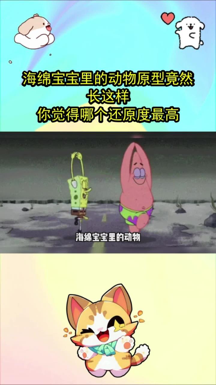海绵宝宝里的动物原型竟然长这样?你觉得哪个还原度最高?