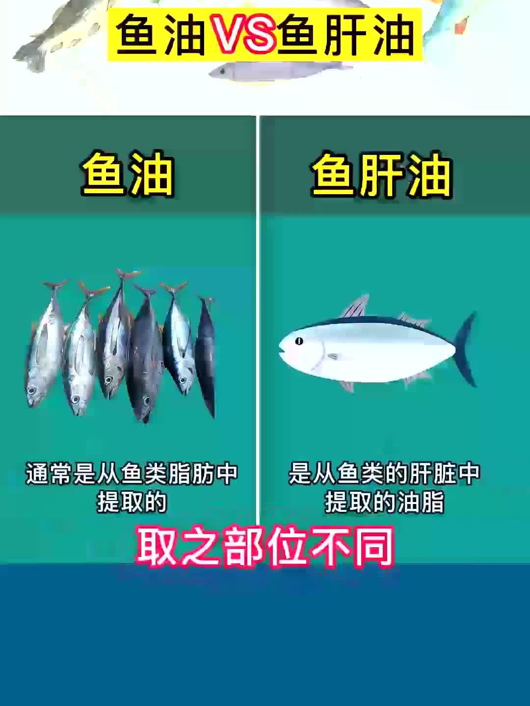 鱼油和鱼肝油,一字之差区别很大,你分清了吗?