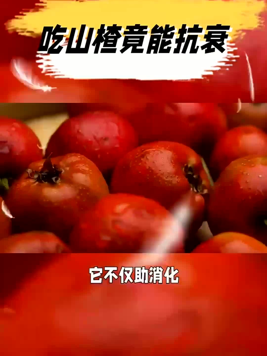 山楂抗衰老