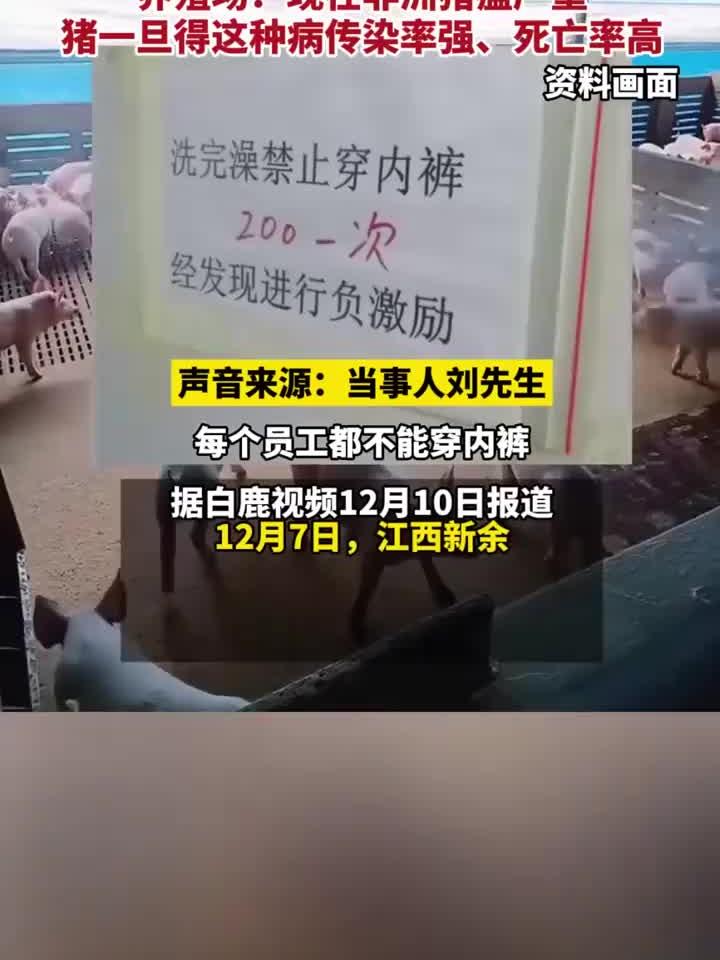 猪场饲养员洗澡后穿内裤罚款200，当事人：感觉有被冒犯