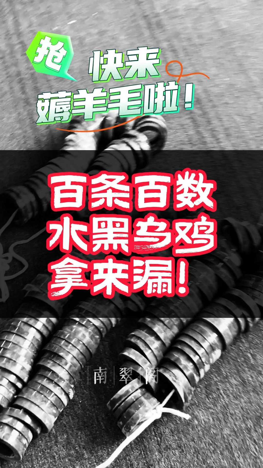 黑属水,水聚财 百条百数乌鸡翡翠手镯大漏