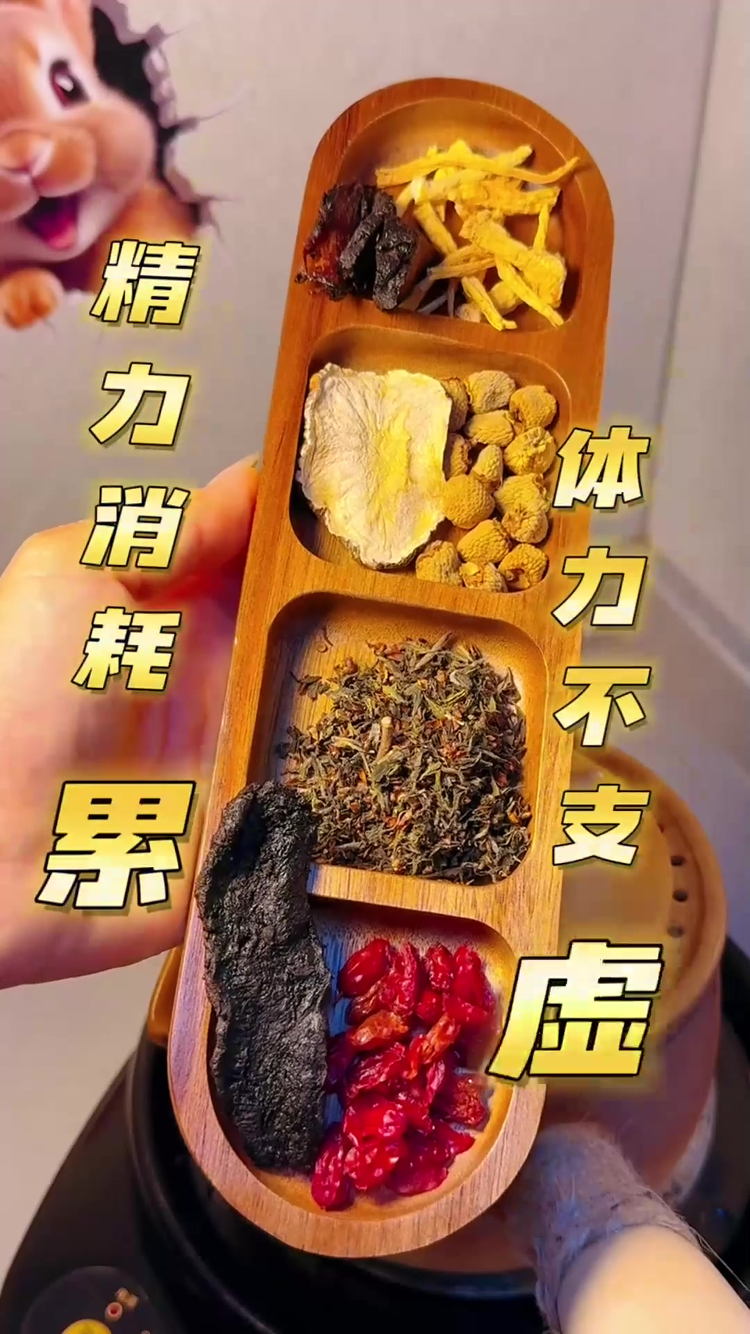 冬天必备元气四宝茶!党参黄芪西洋参麦冬,喝完浑身暖洋洋!
