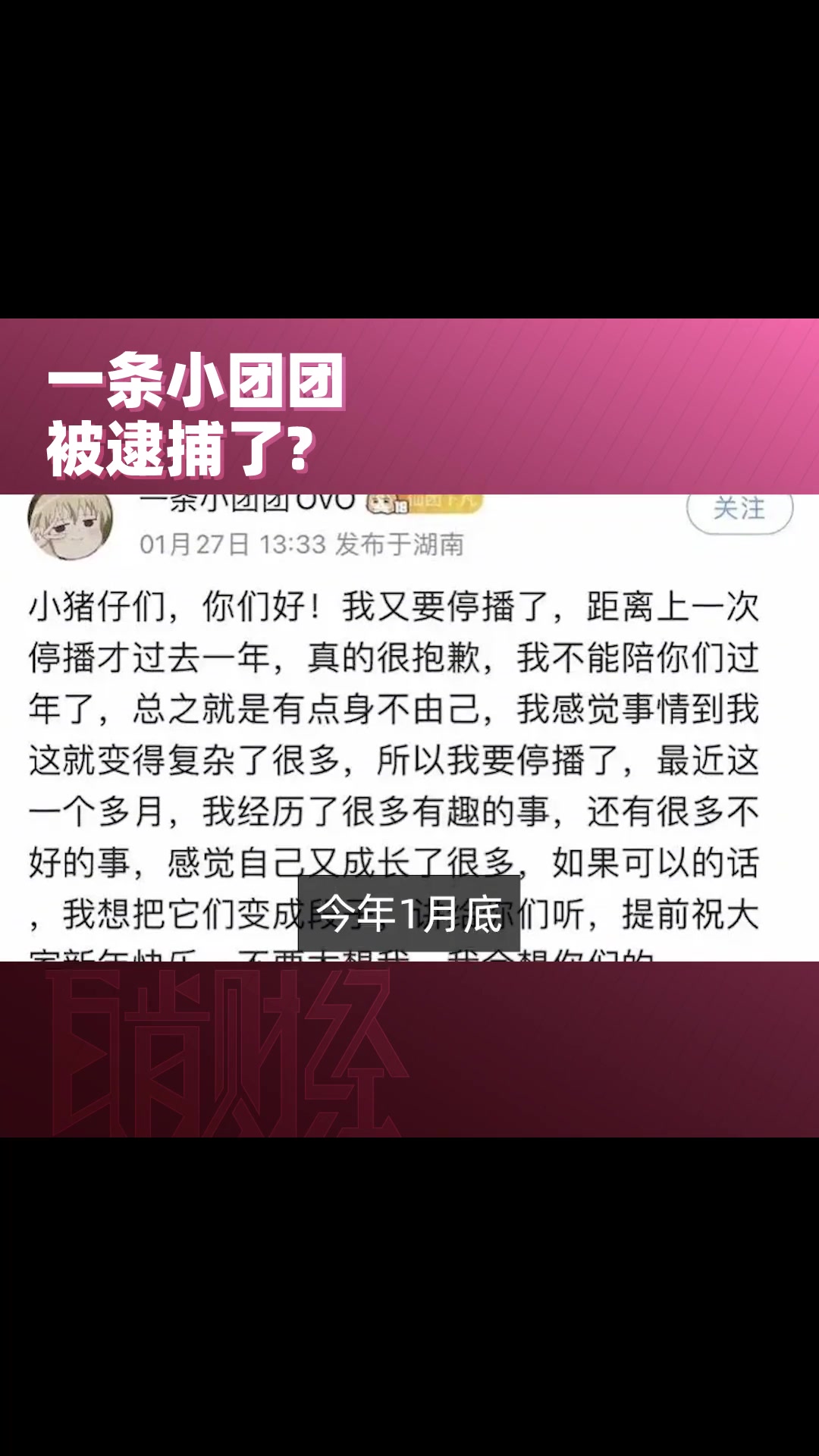 一条小团团陨落轨迹:昔日斗鱼一姐涉赌被捕,或将面临牢狱之灾?