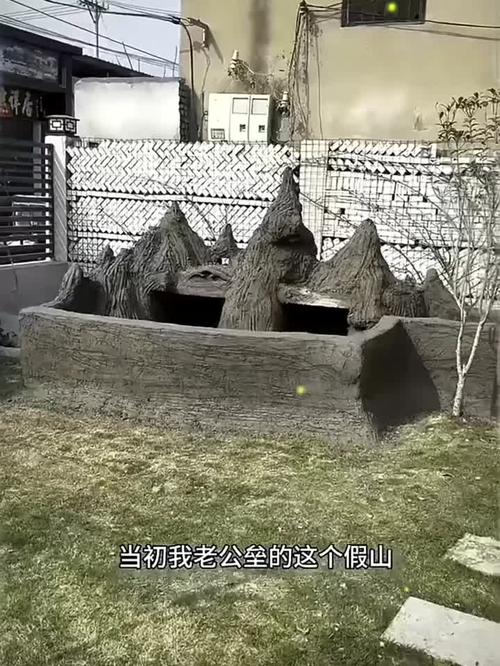 学好生物学还是有用的,老公直接给假山鱼池上了一个生态系统