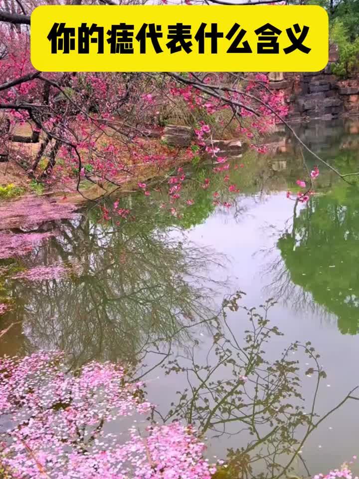 你的痣代表什么含义