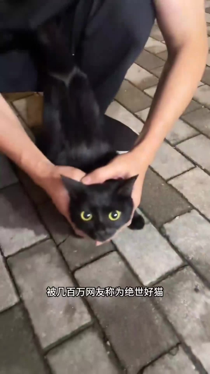 生产8只!怀疑肚子里还有!带夜宵产检,准备月子餐