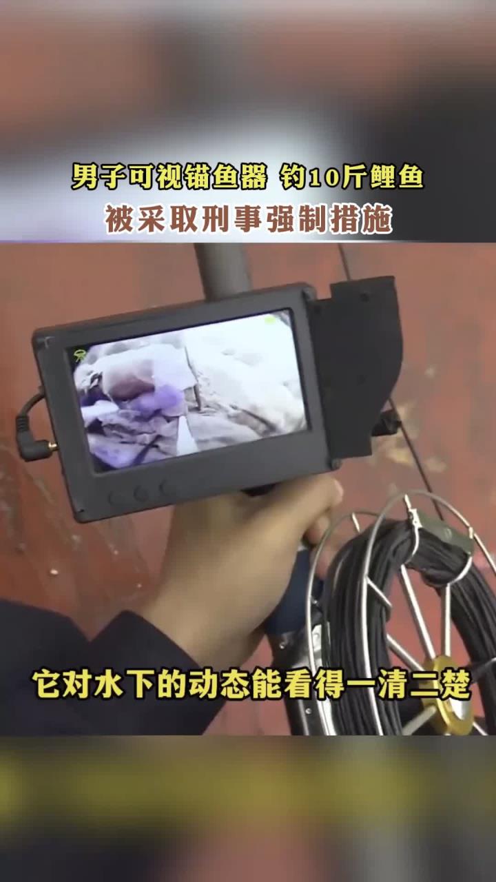 男子可视锚鱼器,钓10斤鲤鱼,被采取刑事强制措施