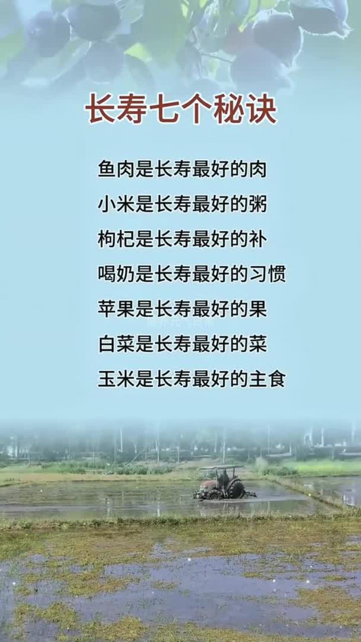 长寿七个秘诀,小米是长寿最好的粥,白菜是长寿最好的菜
