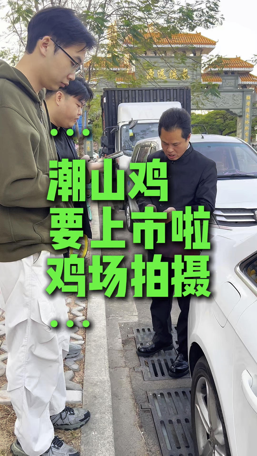 今天餐谋长公司去潮山鸡鲜鸡火锅的养殖基地,拍摄英德鸡场的凤中皇