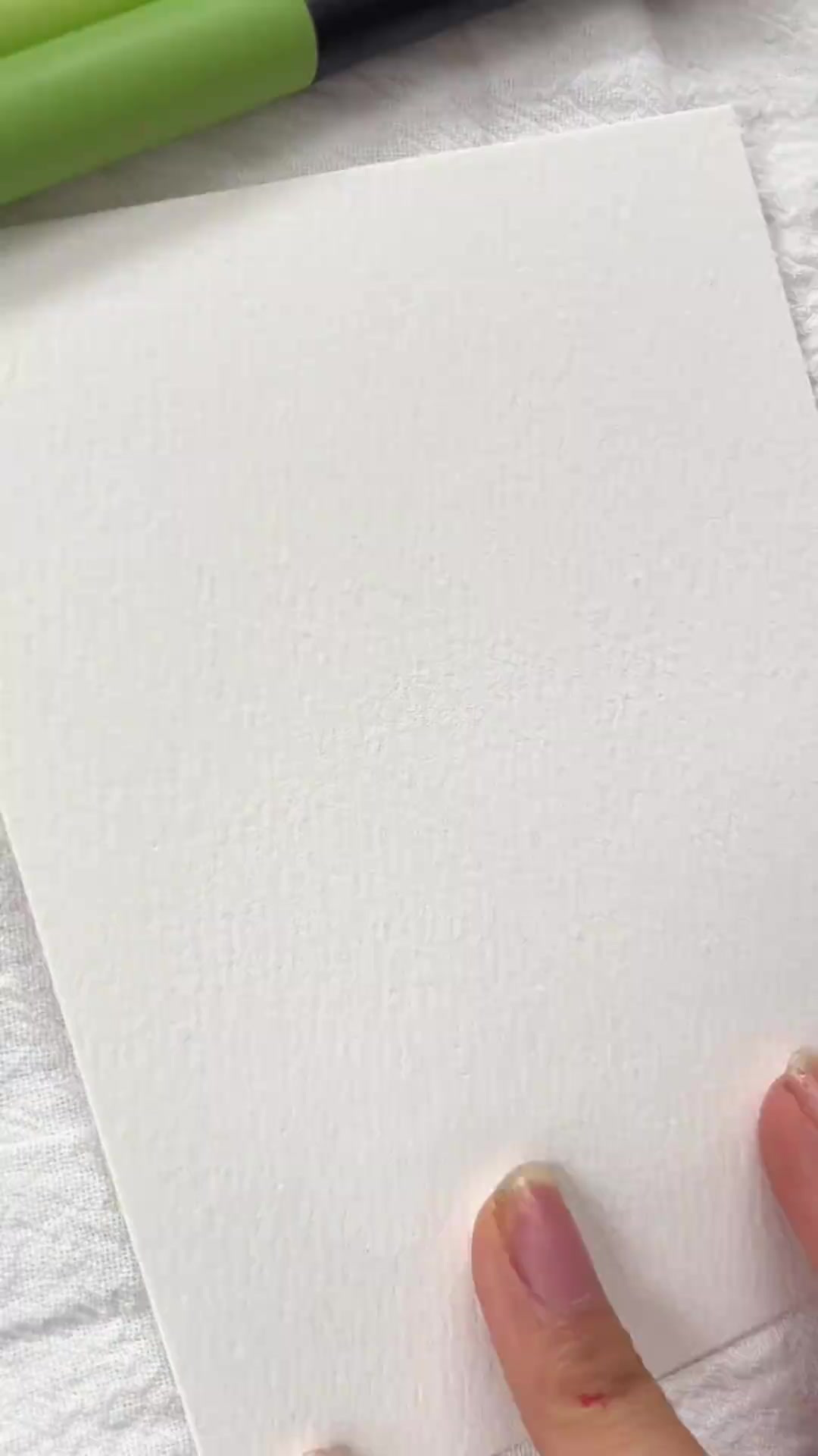 沉浸式画画 蝴蝶玫瑰
