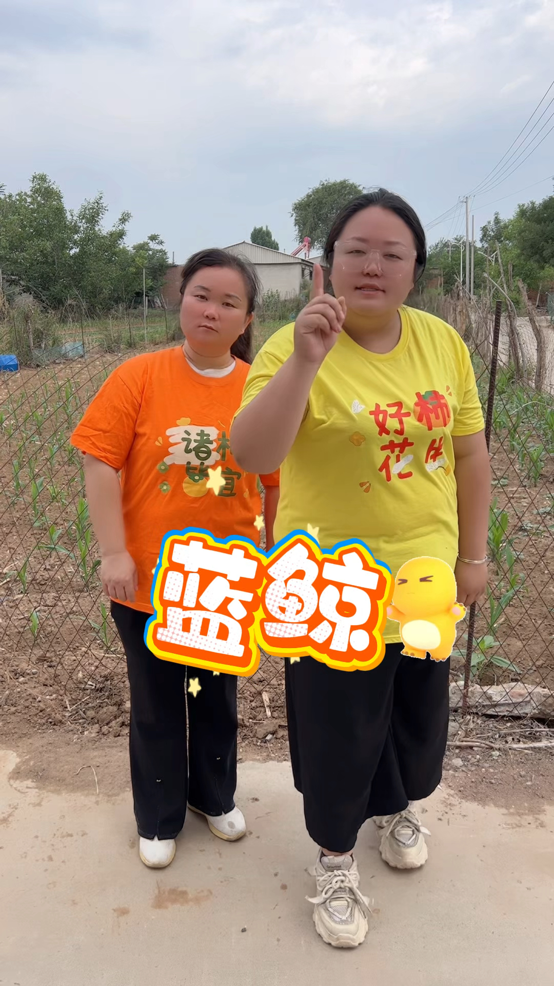 猫头鹰是什么的天敌?