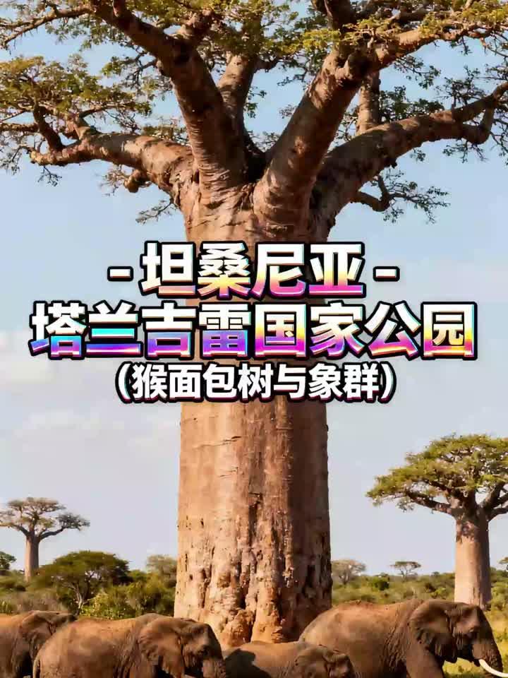 坦桑尼亚 - 塔兰吉雷国家公园(猴面包树与象群)
