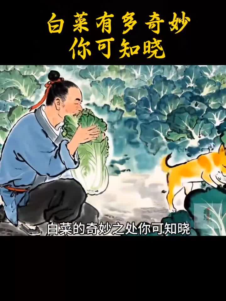 白菜煮水有多厉害？