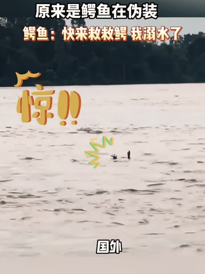 第一眼还以为是有人溺水了，原来是鳄鱼在伪装啊