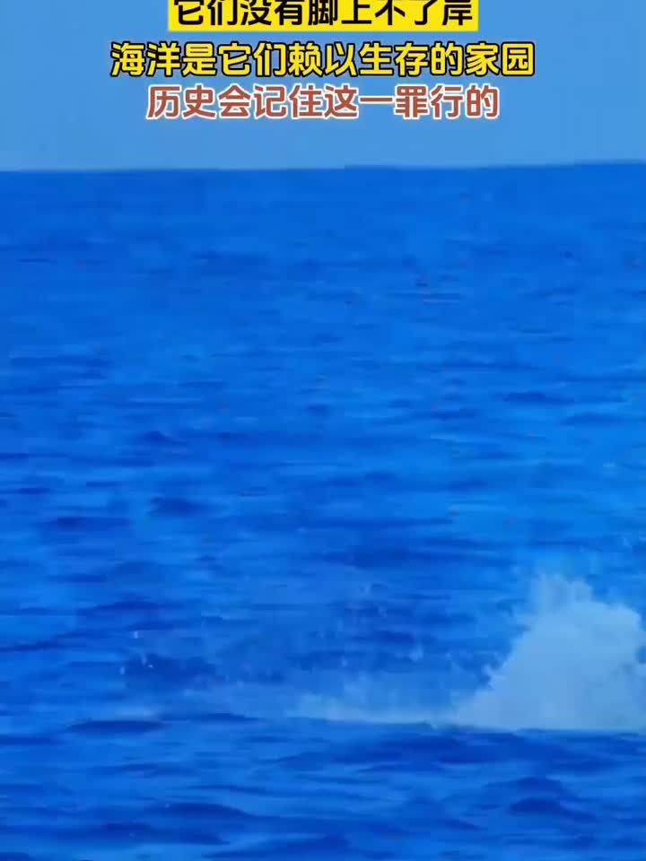 日本核废水排海,直接威胁海洋生物,或许我们以后再也见不到健康