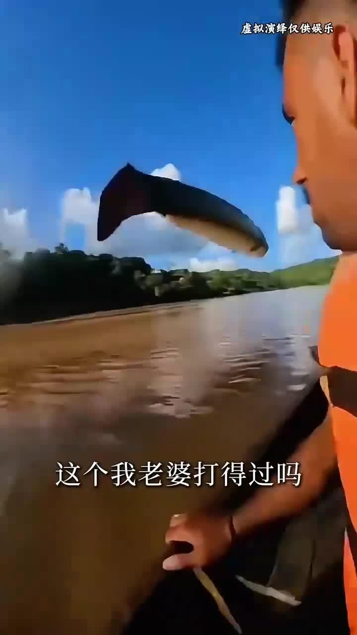 火箭飞鱼 被撞一下像撞在火车头上 (1)