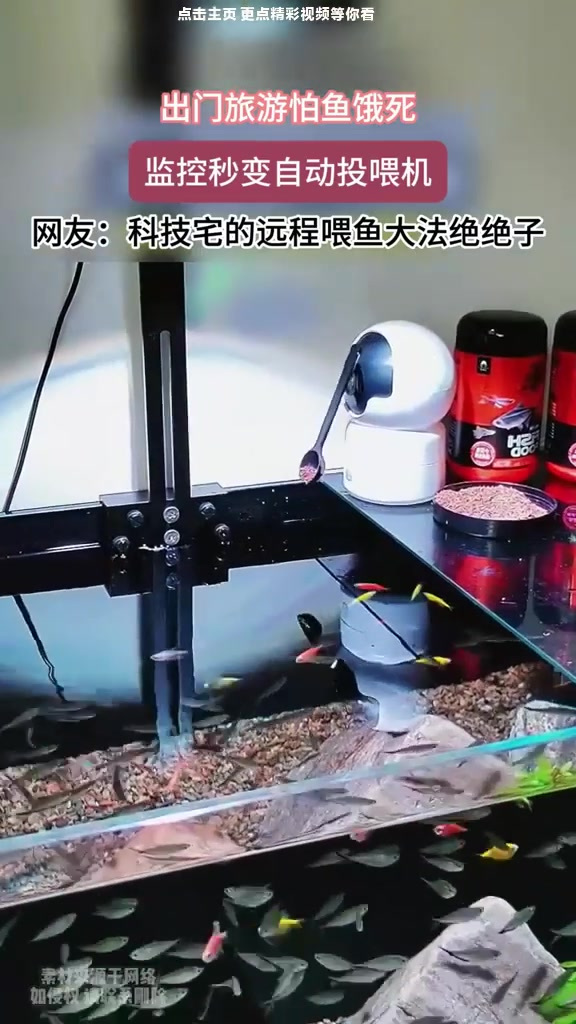 出去旅游担心家里鱼饿死,用监控自制一个喂鱼器