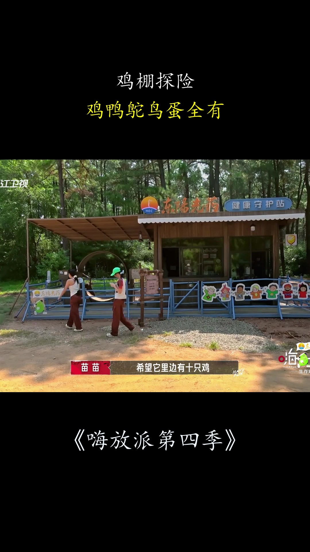 嗨放派第四季:鸡棚探险,鸡鸭鸵鸟蛋全有