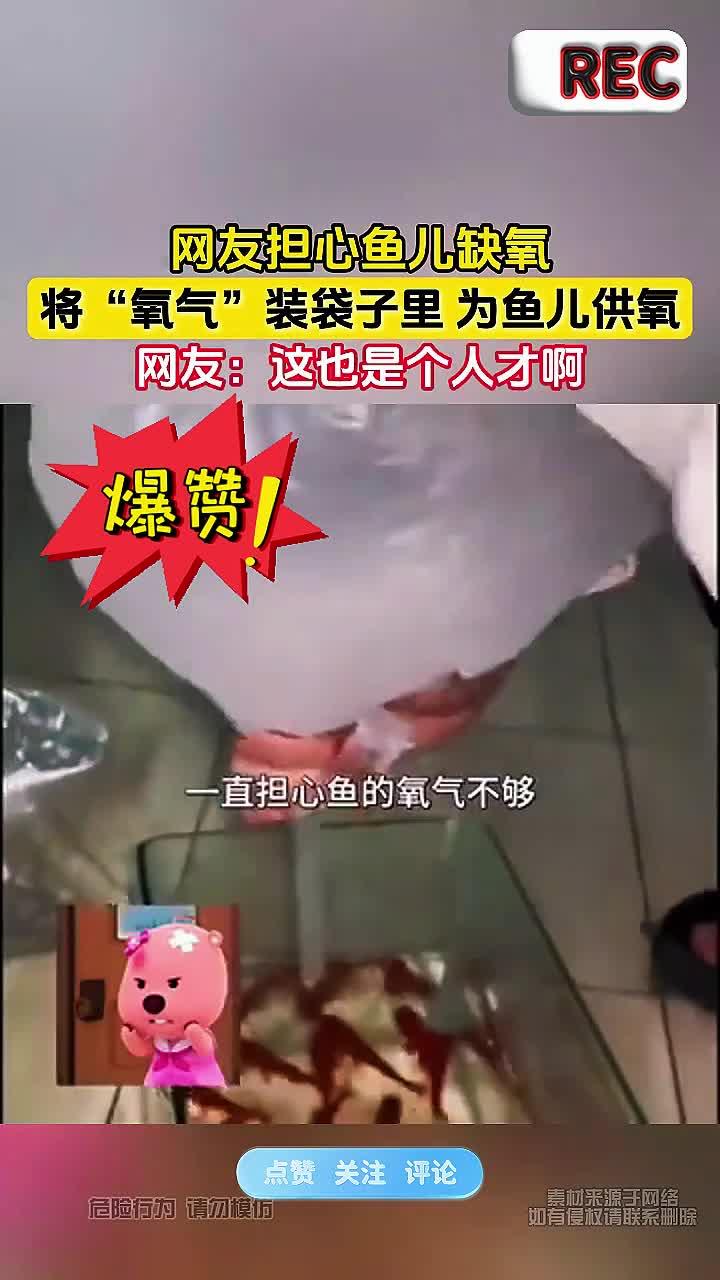 网友担心鱼儿缺氧，将“氧气”装袋子里 为鱼儿供氧