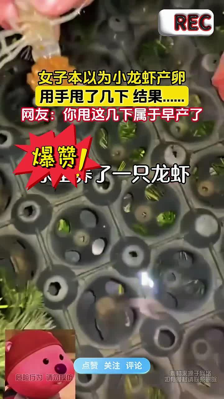 女子本以为小龙虾产卵,用手甩了几下 结果……