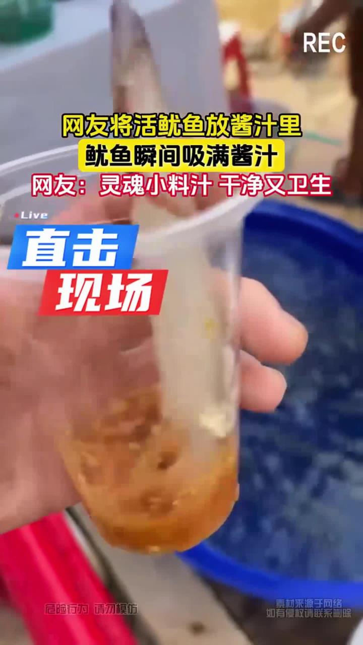 网友将活鱿鱼放酱汁里,鱿鱼瞬间吸满酱汁