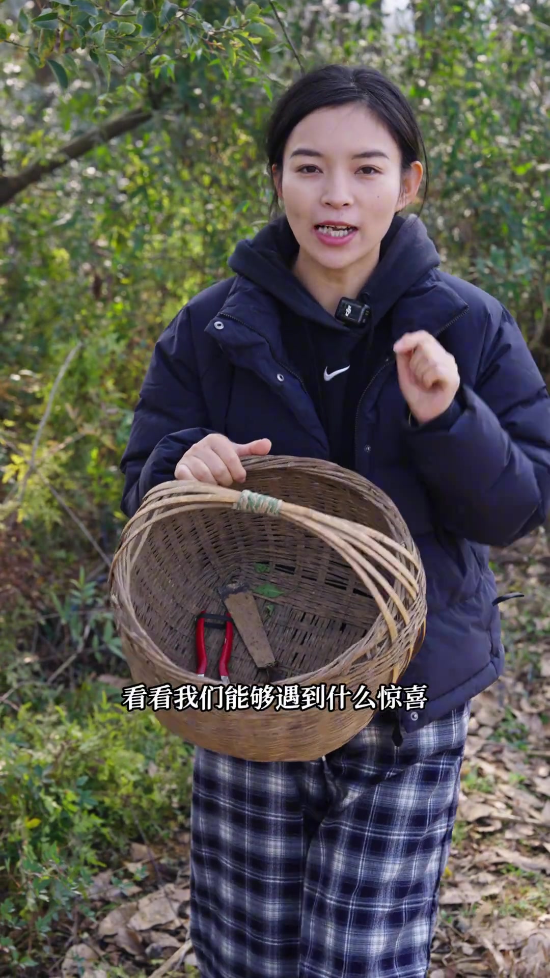 冬天了还能遇到什么好吃的野菜，这些你都吃过没