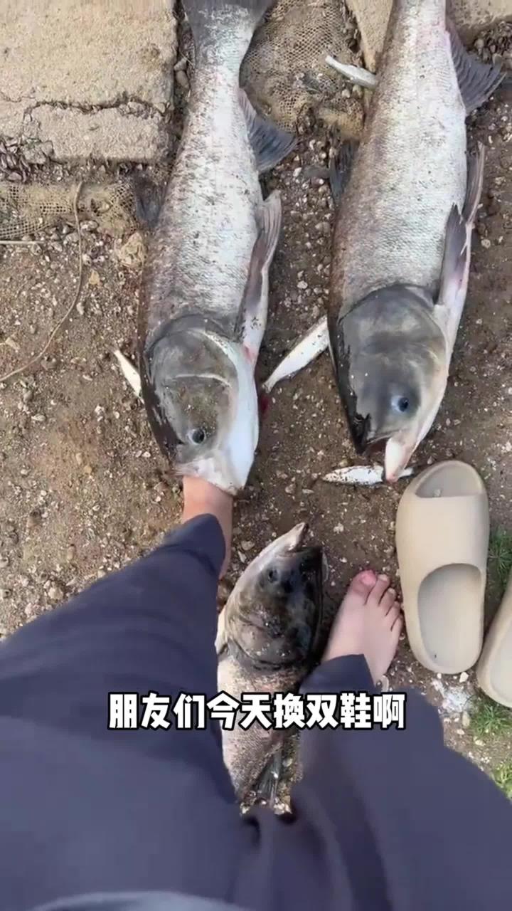 这拖鞋穿出去绝对有面子
