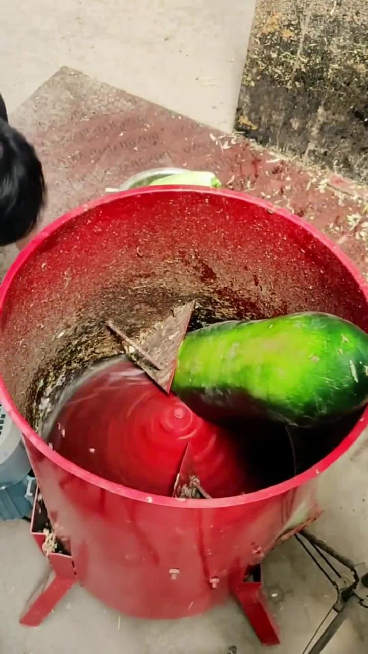 我爱发明,瓜果蔬菜切丝机