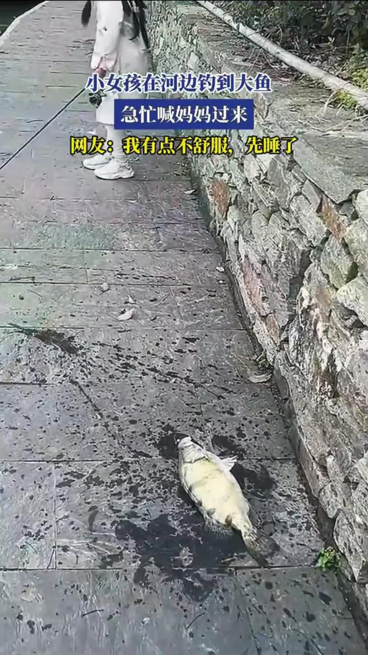 小女孩在河边钓到大鱼,急忙喊妈妈过来