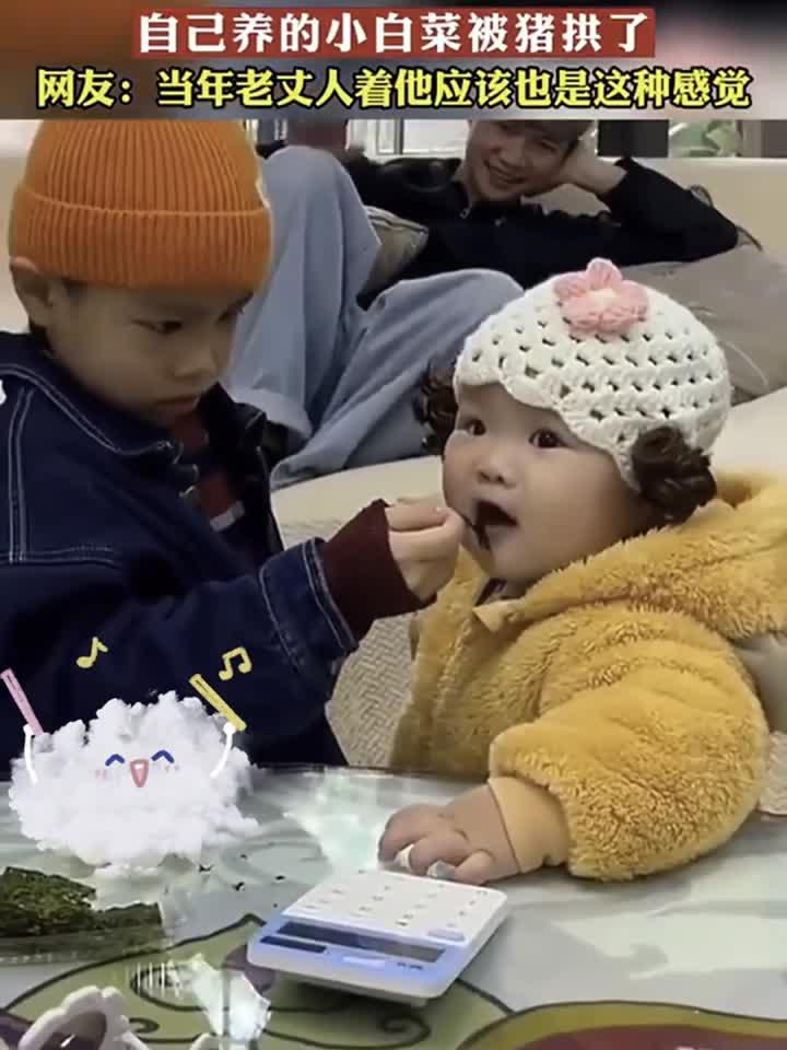 爸爸眼睁睁的看着，自己养的小白菜被别人家小猪拱了