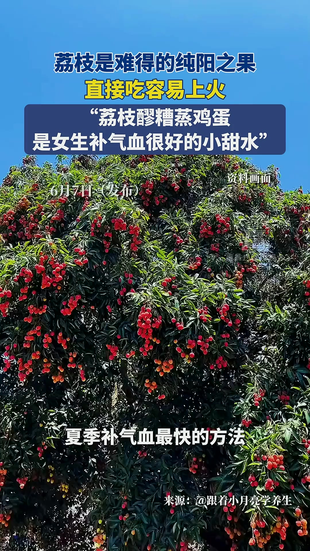 荔枝醪糟蒸鸡蛋,女生补气血小甜水「法律解读」