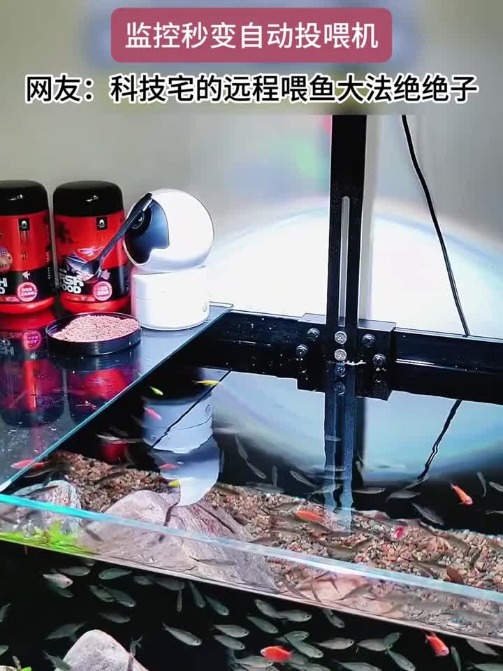 出去旅游担心家里鱼饿死,用监控自制一个喂鱼器