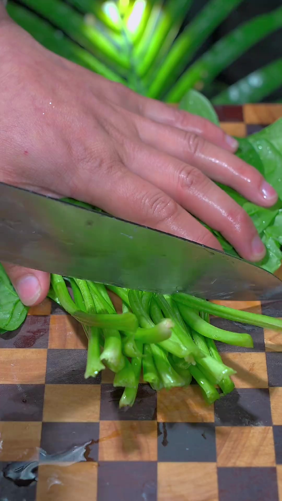 大鱼大肉吃腻了，可以试试这个凉拌波菜，清爽解腻，全家人都喜欢