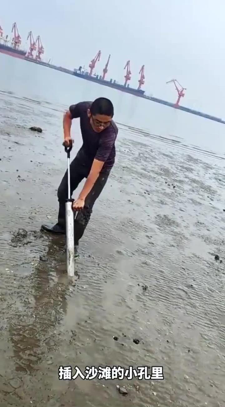 原来皮皮虾是这样抓得