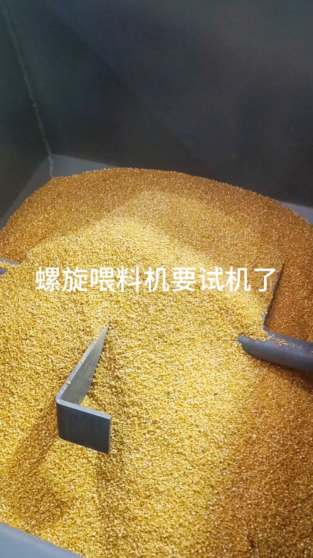 自动喂料机