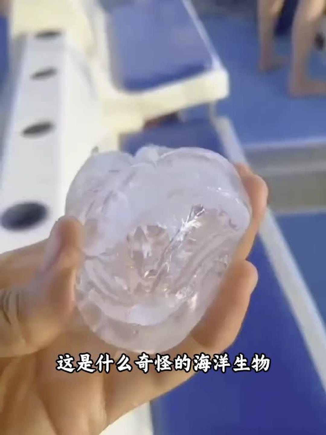 深海十六大巨兽揭秘，你见过几种？