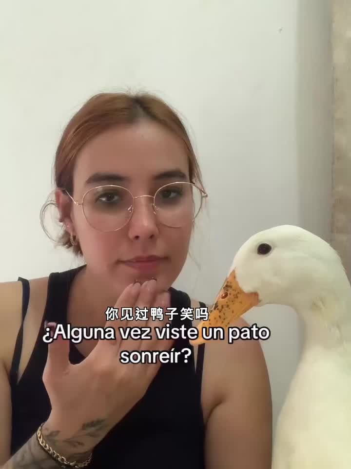 你见过鸭子笑吗