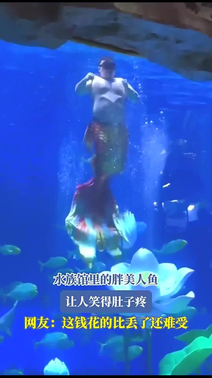 水族馆里的胖美人鱼,让人笑得肚子疼,网友:这钱花的比丢了还难