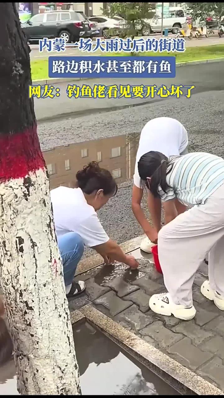 内蒙一场大雨过后的街道,路边积水甚至都有鱼,网友:钓鱼佬看见要开心坏了