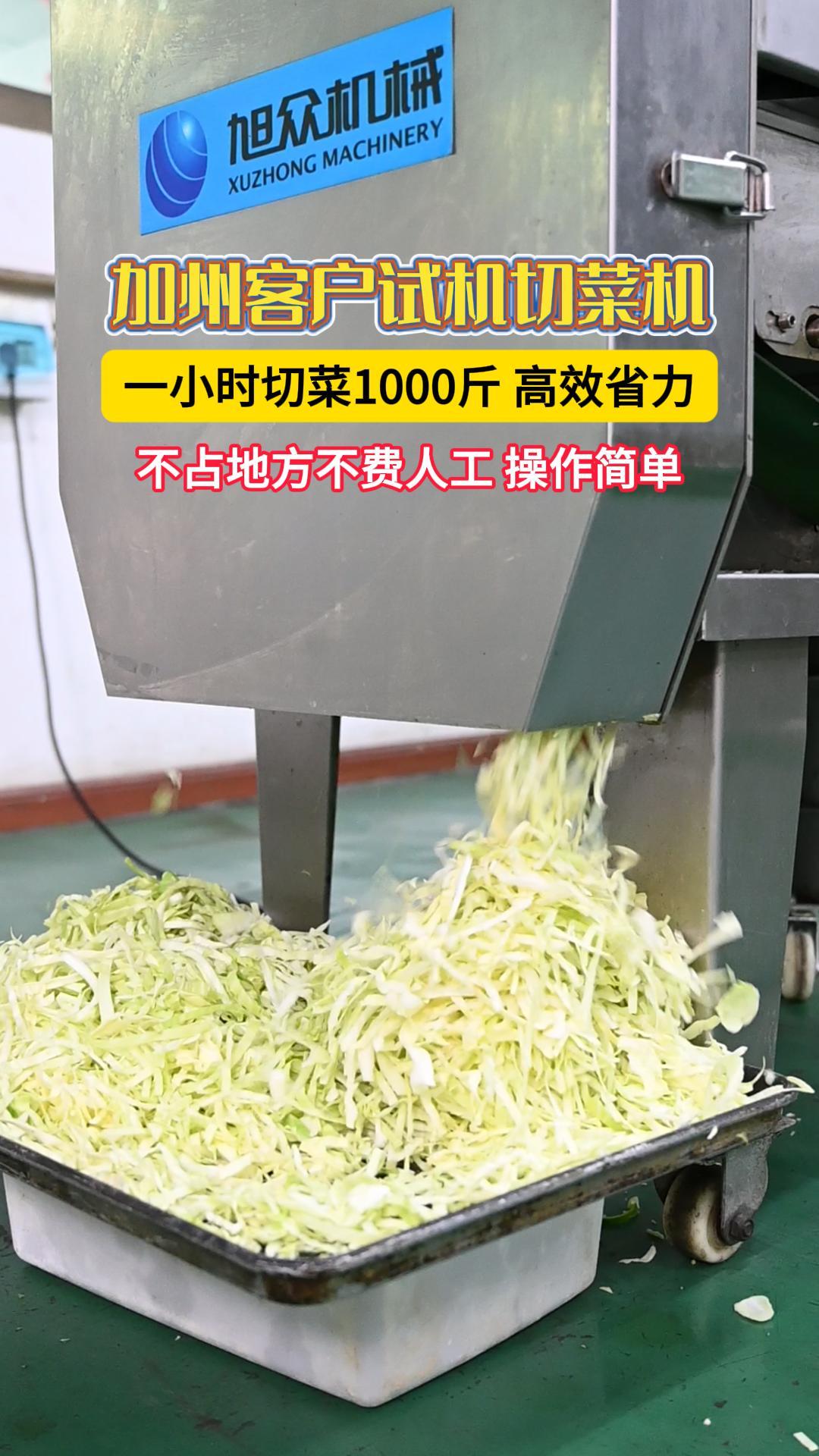 加州客户试机多功能切菜机,一小时高效切菜1000斤,高效省力