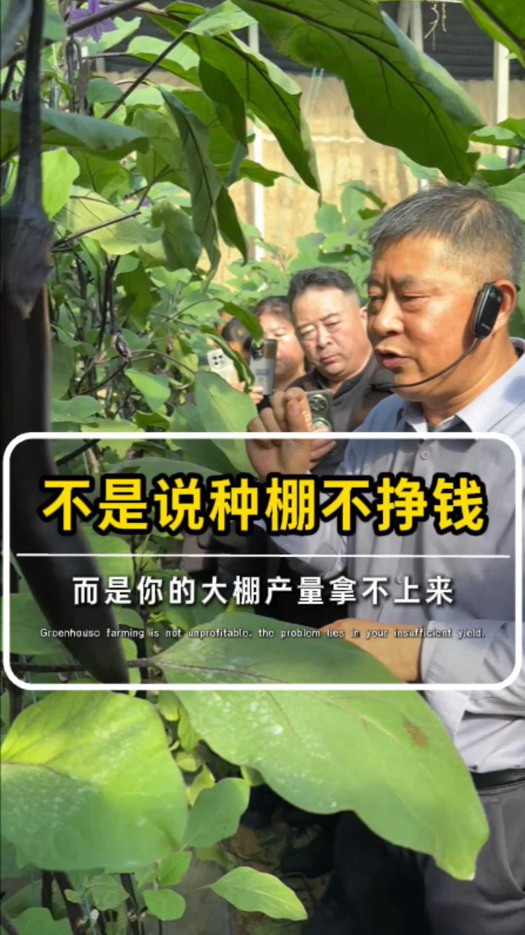 不是说种棚不挣钱而是你的大棚产量拿不上来