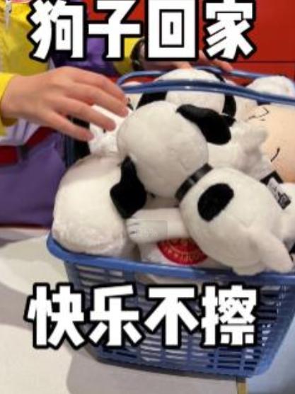 快逃!狗儿子使用了钱包消失术