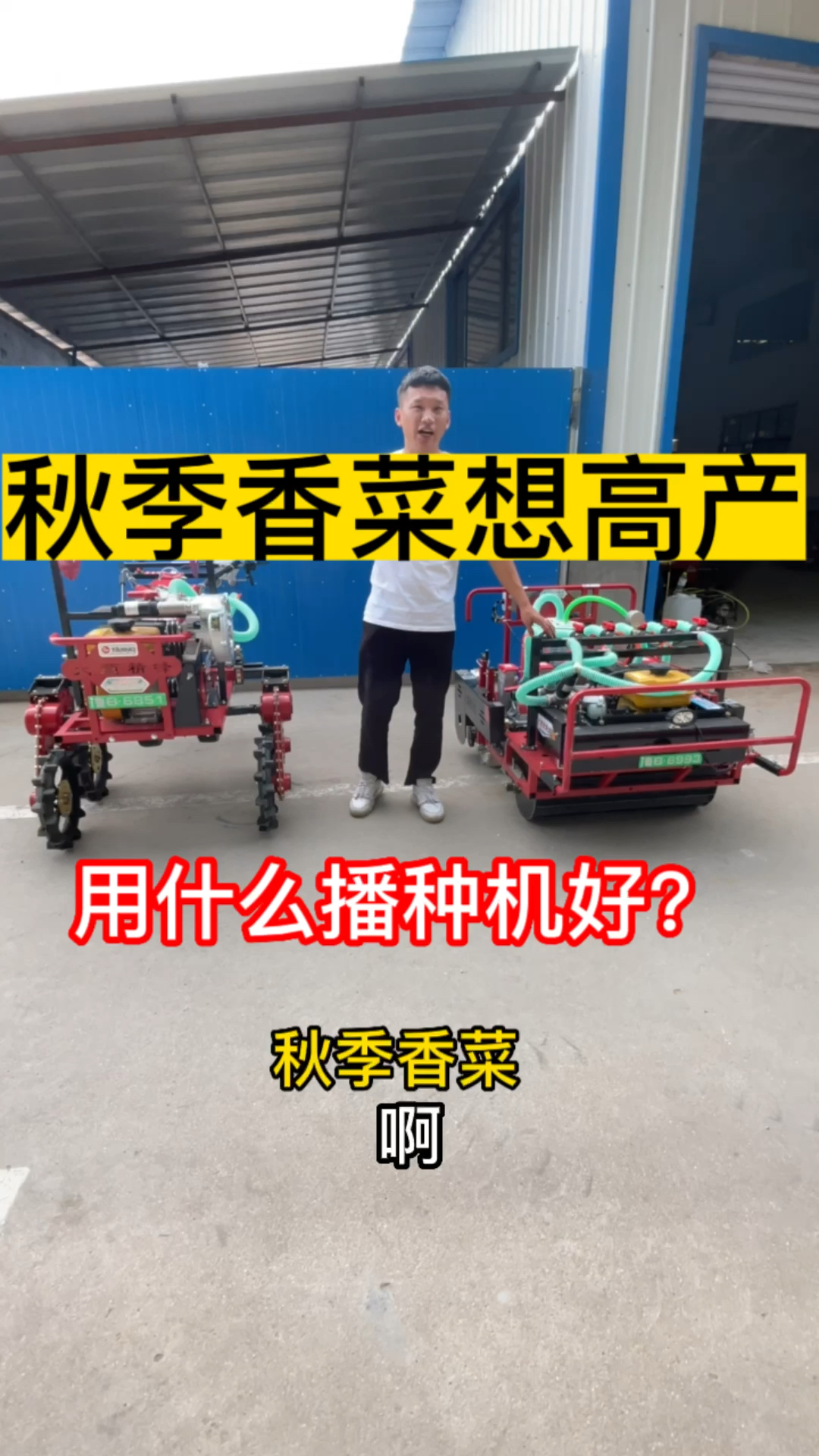 秋季香菜想高产,用什么播种机好?