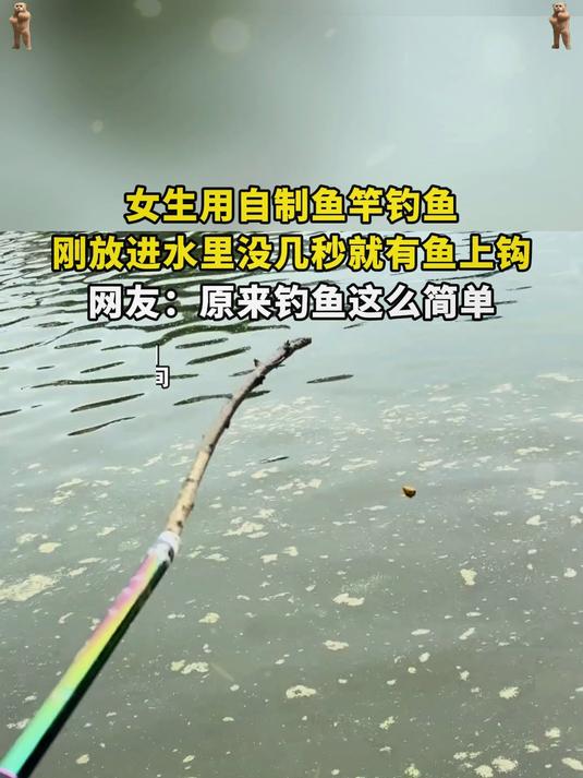 女生用自制鱼竿钓鱼,刚放进水里没几秒就有鱼上钩,网友:原来钓鱼这么简单