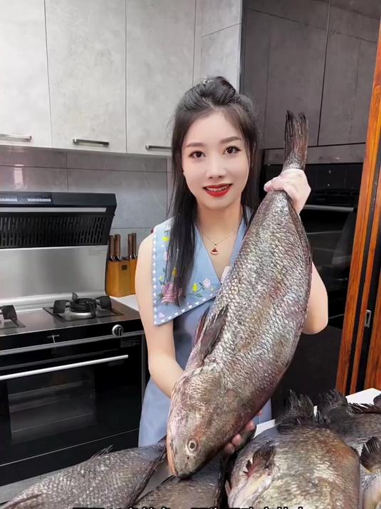 咱们吃的天价花胶竟取自这种鱼的肚子！