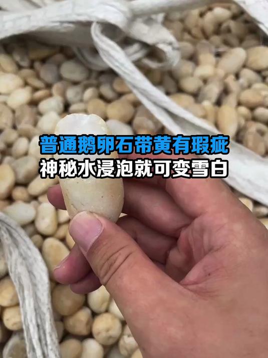 你知道洁白的鹅卵石是怎么来的吗？