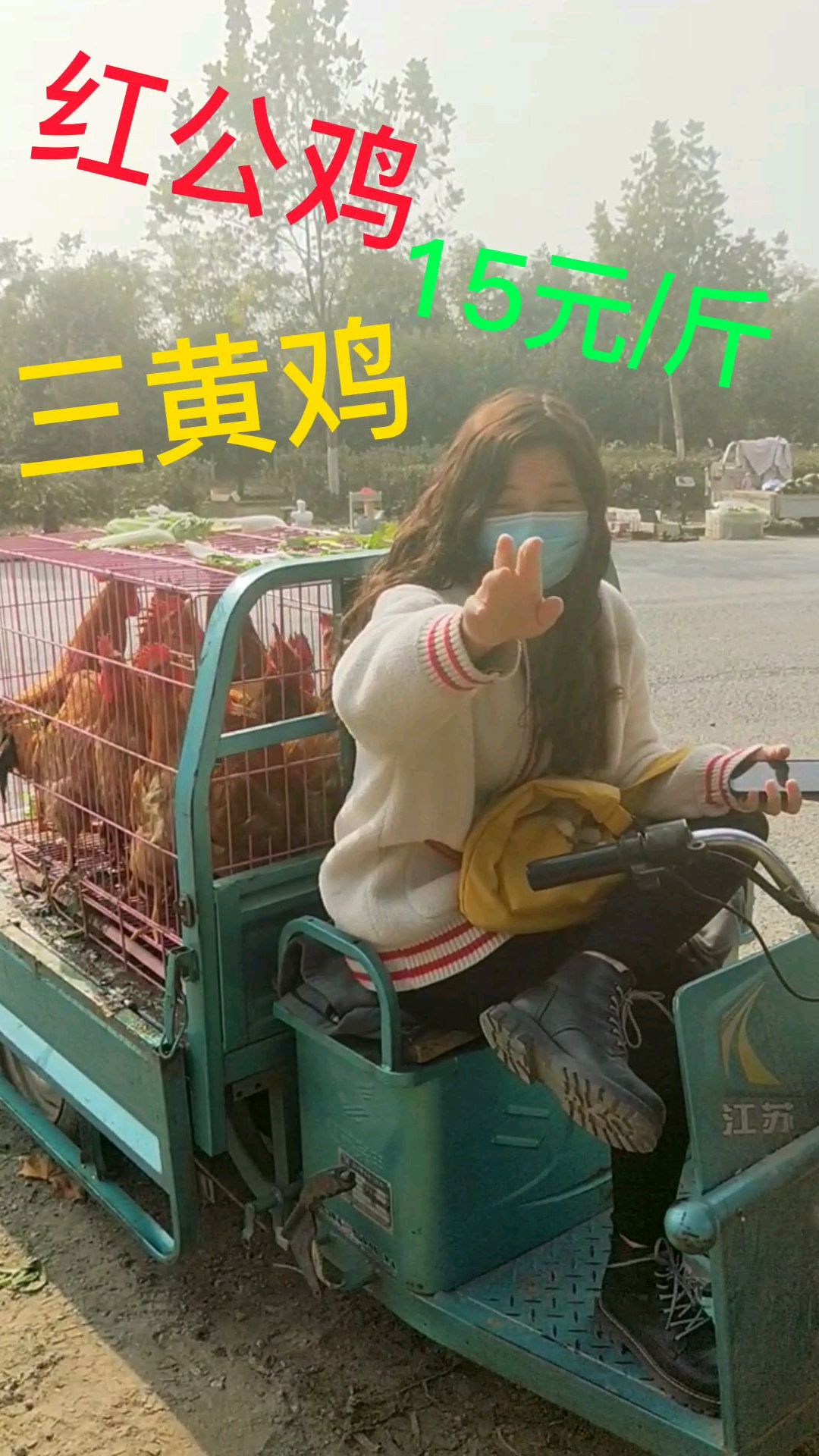 辛苦养大不舍的吃一只(大红公鸡,三黄公鸡)卖这价我哭了走咱回家杀了吃鸡吧,不卖了