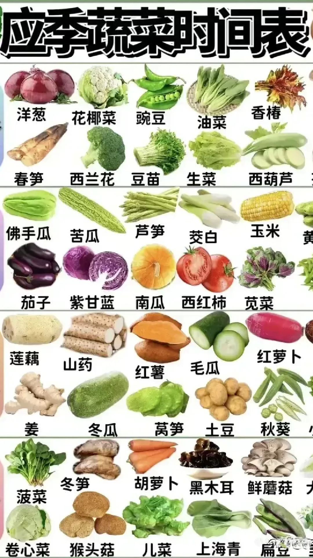 应季蔬菜时间表
