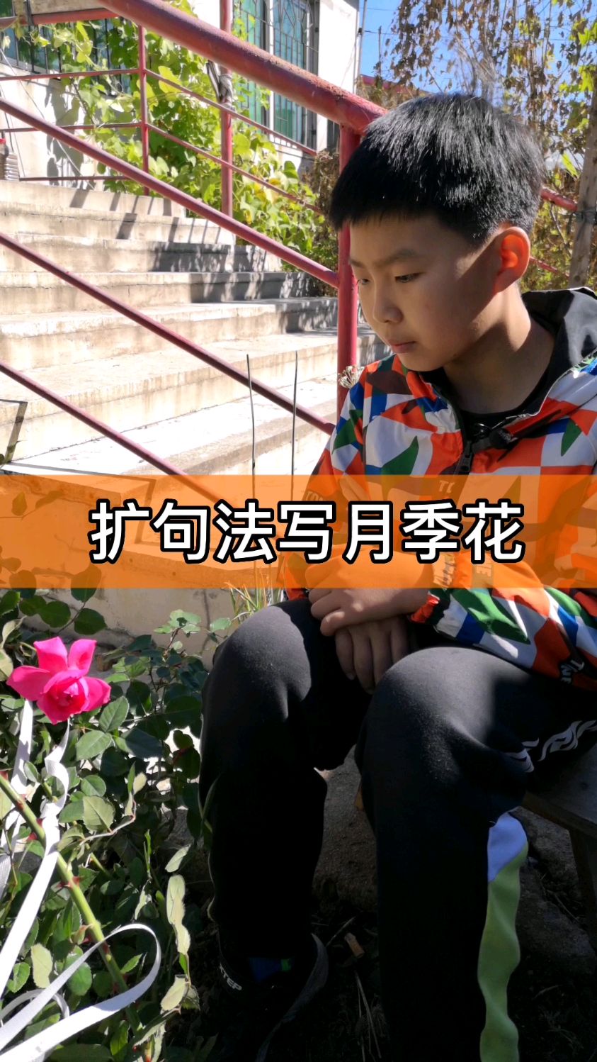 很多孩子作文无话可写,不妨试试扩句法,从一个简单的词很快就变成优美的句子和段落