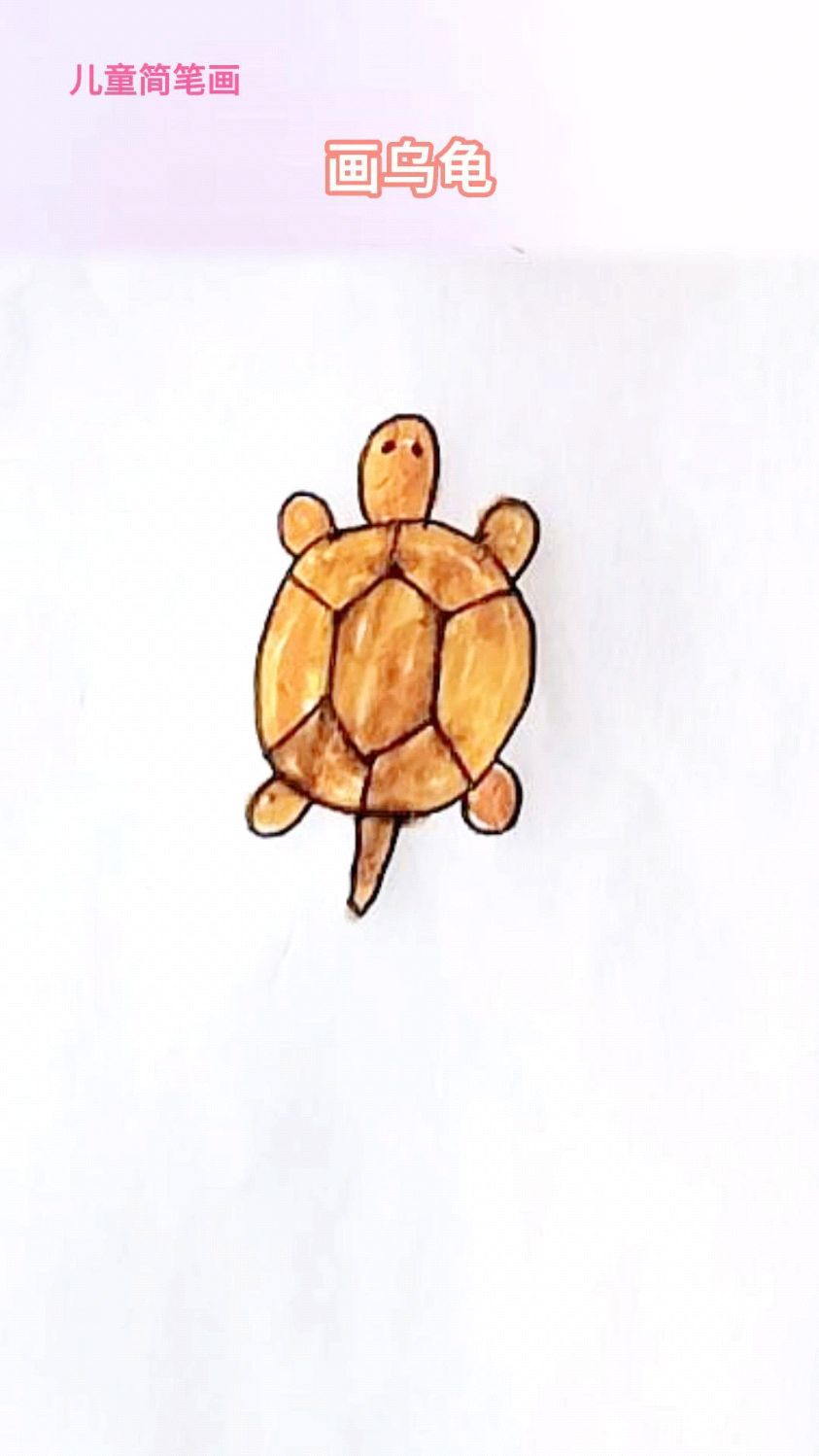 儿童简笔画画乌龟